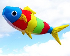 Bunter Fisch