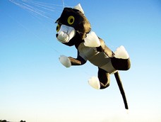 Schwarze Katze