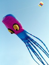 Octopus (mit ovalen Augen)
