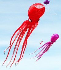 Octopus (mit runden Augen)