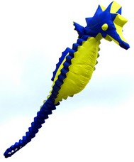 Seepferd